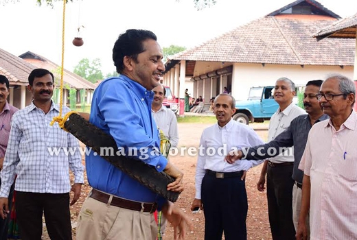 Makkala Habba